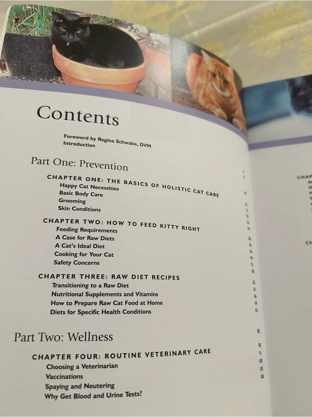Whole Health for Happy Cats by Sandy Arora